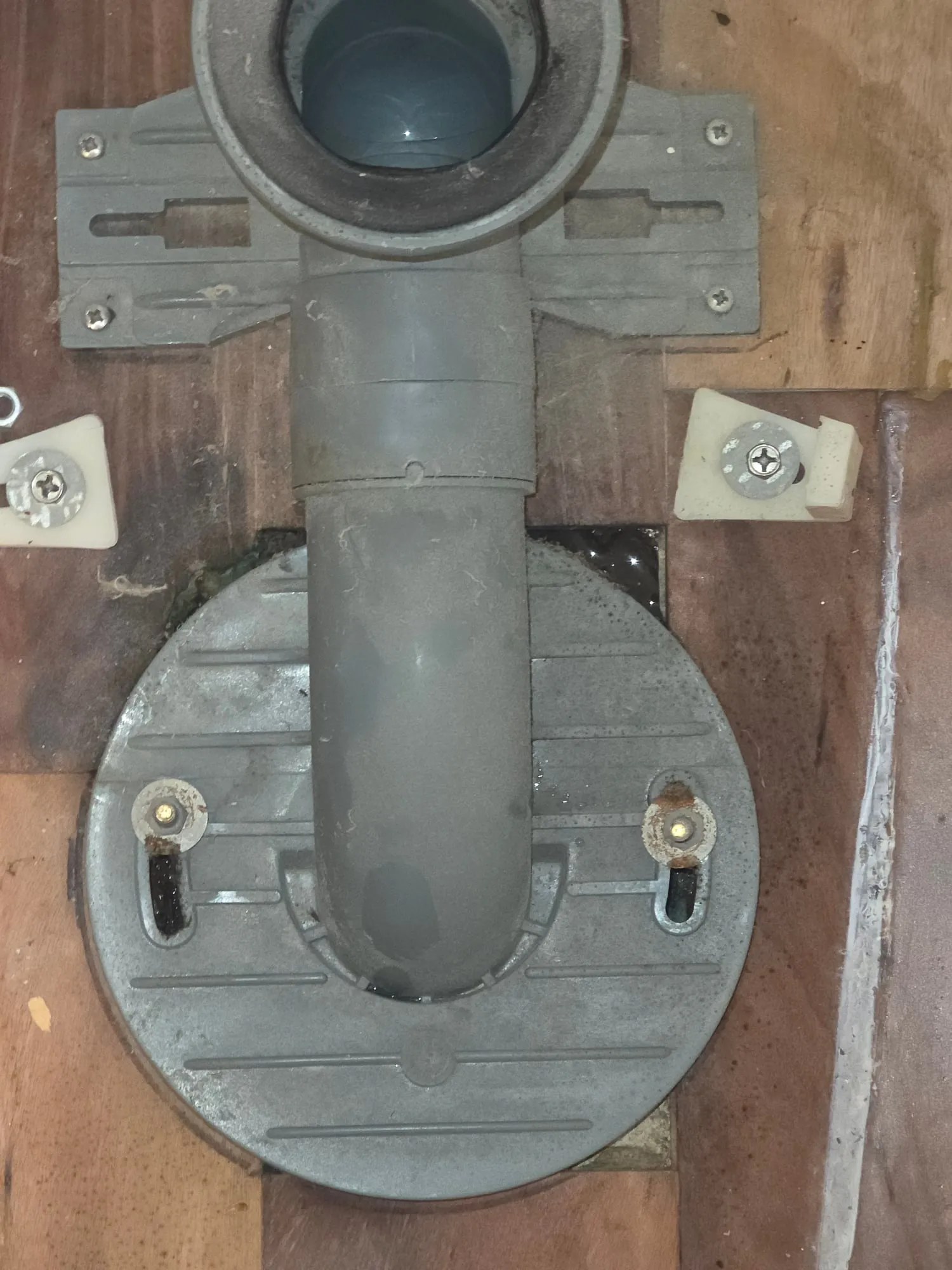 Top-down view of a closet bend and flange bolted into a plywood subfloor